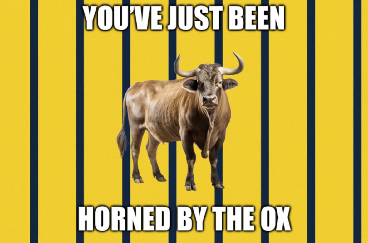 You've Just Been Horned By The Ox Design x10