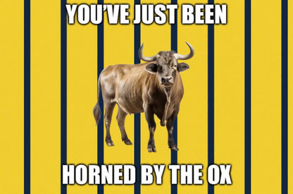You've Just Been Horned By The Ox Design custom football sticker waterproof vinyl