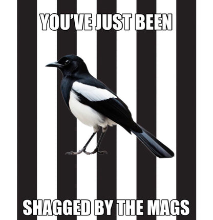 You've Just Been Shagged By The Mags Design custom football sticker waterproof vinyl