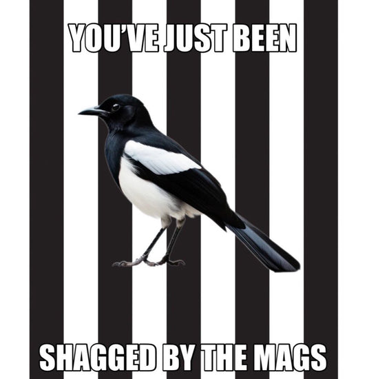 You've Just Been Shagged By The Mags Design x10