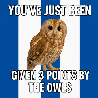 You've Just Been Given 3 Points By The Owls Design custom football sticker waterproof vinyl