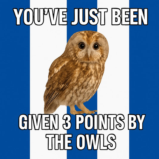 You've Just Been Given 3 Points By The Owls Design x10