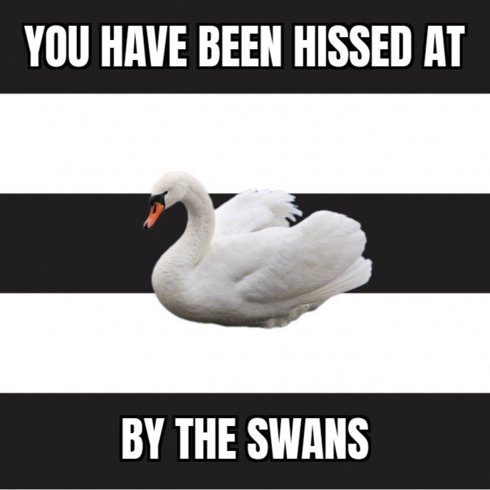 You've Been Hissed At By The Swans Design x10