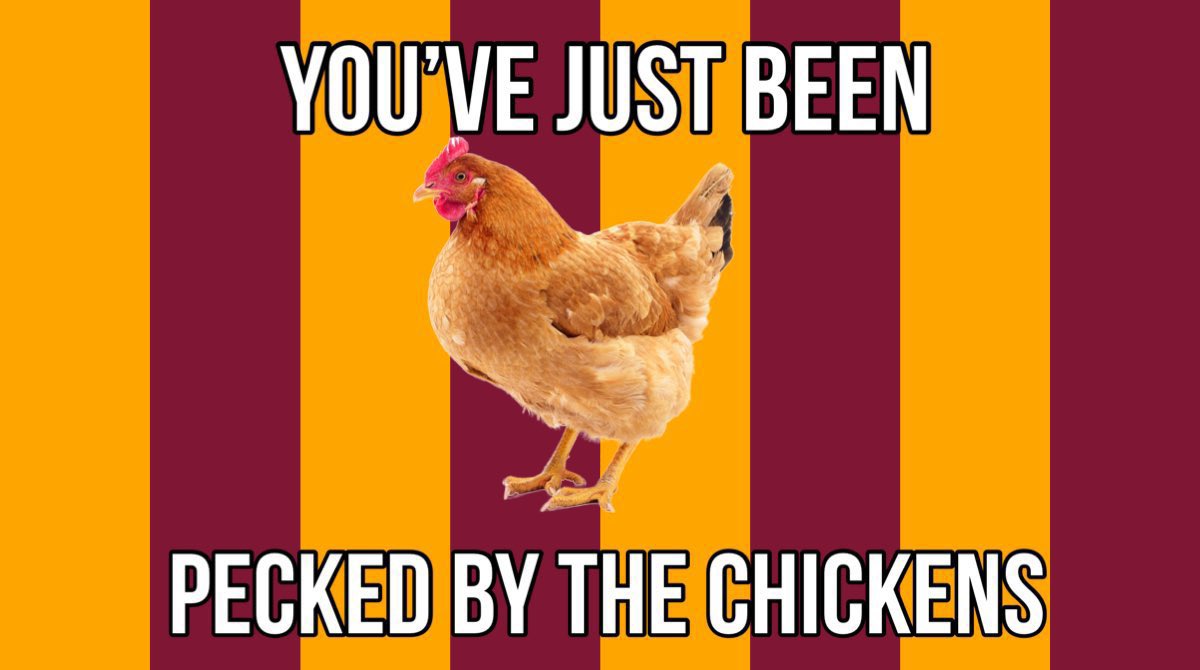 You've Just Been Pecked By The Chickens Design x10