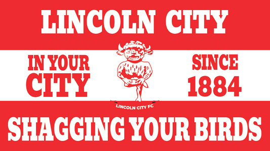 Lincoln City Shagging Your Birds Design