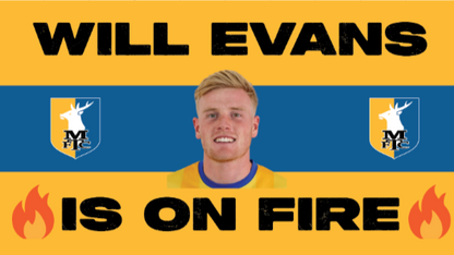 Will Evans Is On Fire Design custom football sticker waterproof vinyl