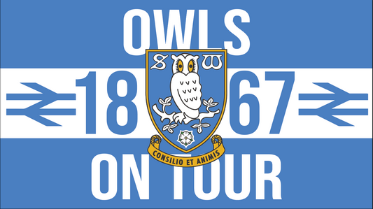 Owls On Tour Design x10