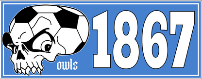 Sheffield Wednesday Skull Design custom football sticker waterproof vinyl