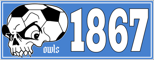 Sheffield Wednesday Skull Design x10