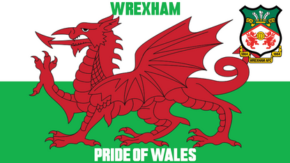 Pride Of Wales Design custom football sticker waterproof vinyl
