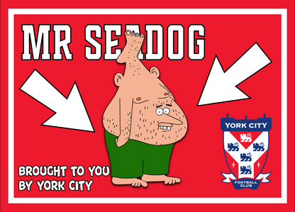 Mr Seadog Design custom football sticker waterproof vinyl