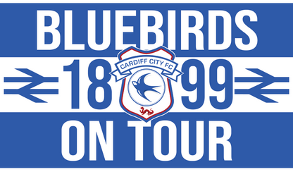 Bluebirds On Tour Design custom football sticker waterproof vinyl