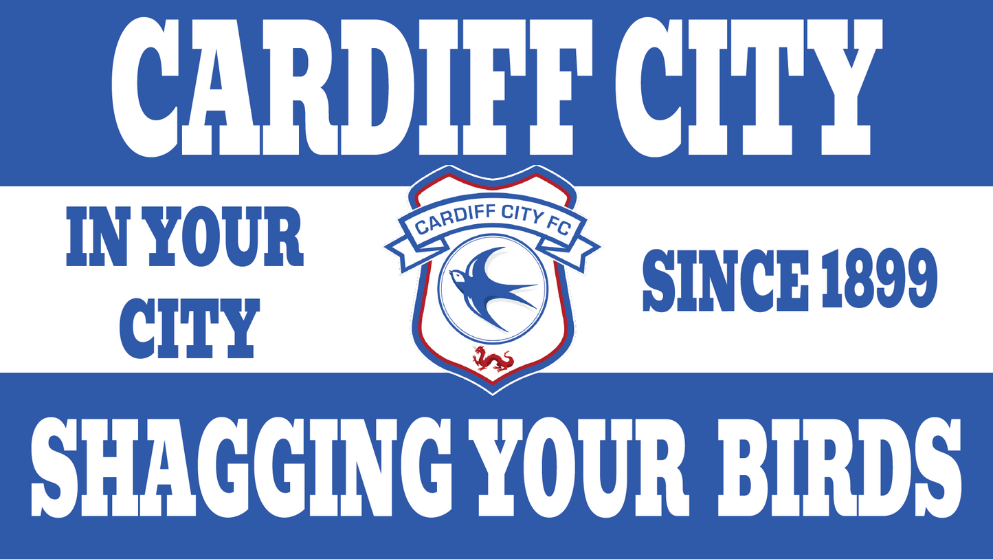 Cardiff City Shagging Your Birds Design x10