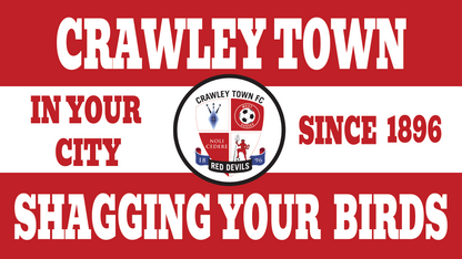 Crawley Shagging Your Birds Design custom football sticker waterproof vinyl