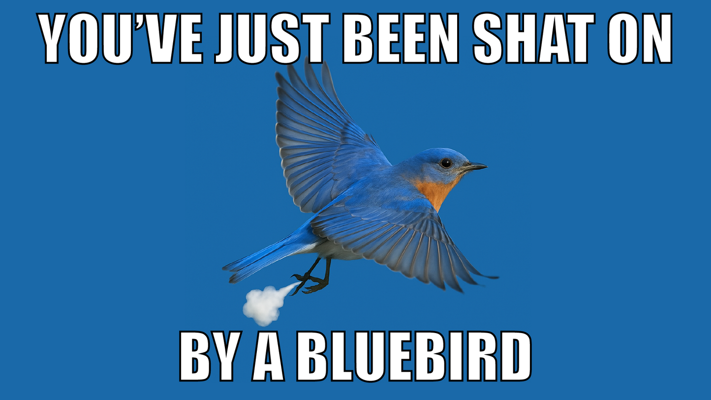 You've Just Been Shat On By A Bluebird Design x10