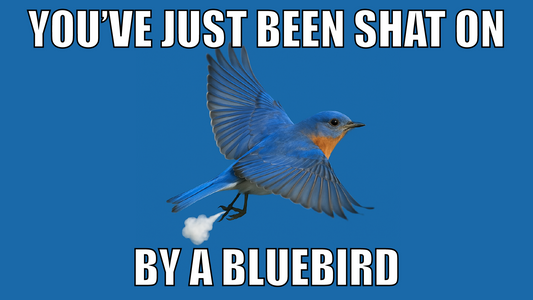You've Just Been Shat On By A Bluebird Design x10